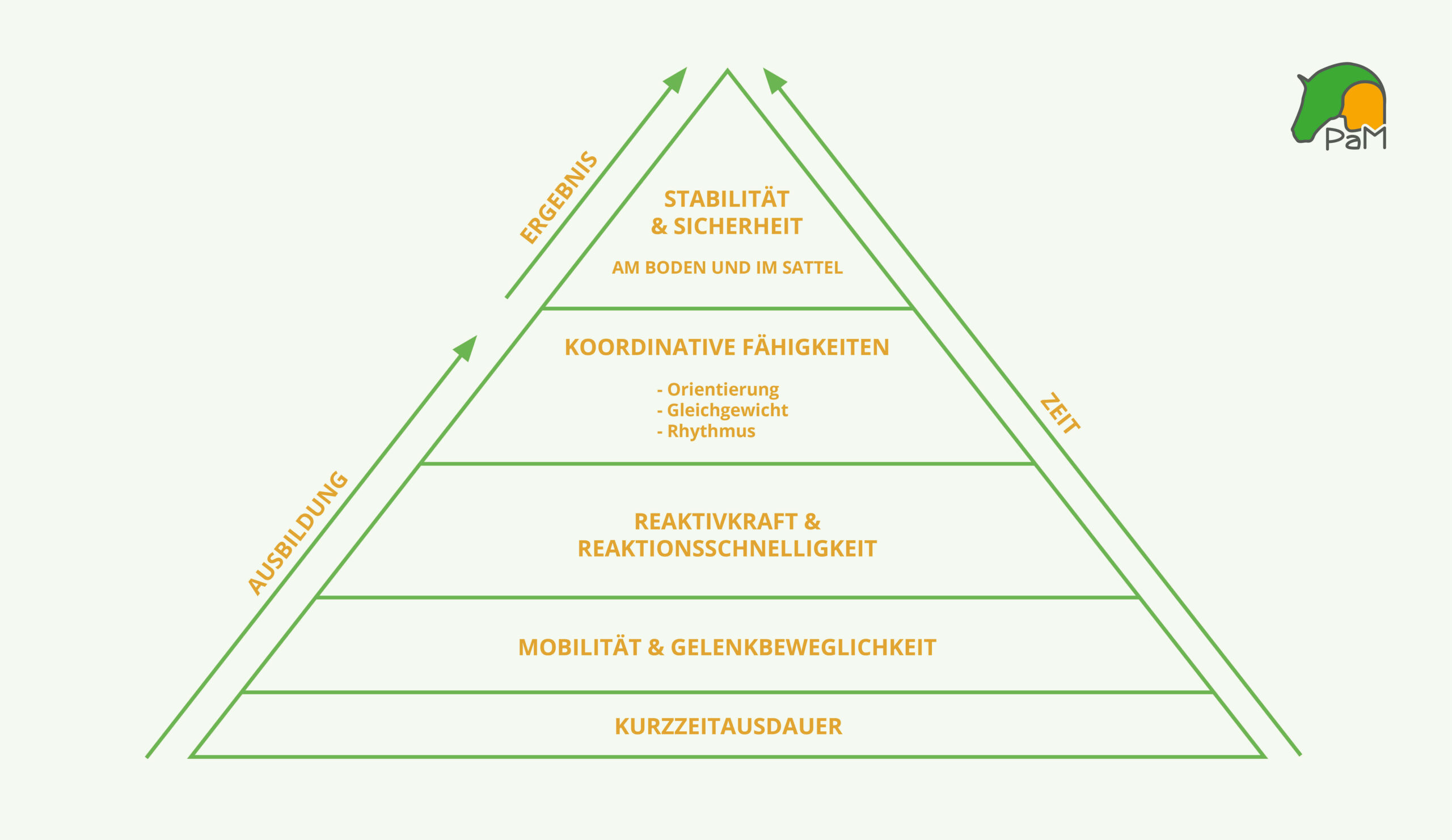 Pferd_Am_Mensch_Reiterfitness_Grafik